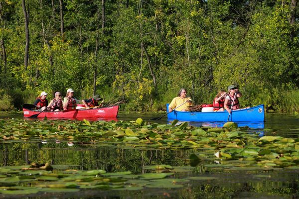 Paddelabenteuer im Herzen der Natur