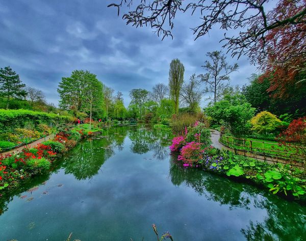 Tauche ein in Monets Farbenpracht
