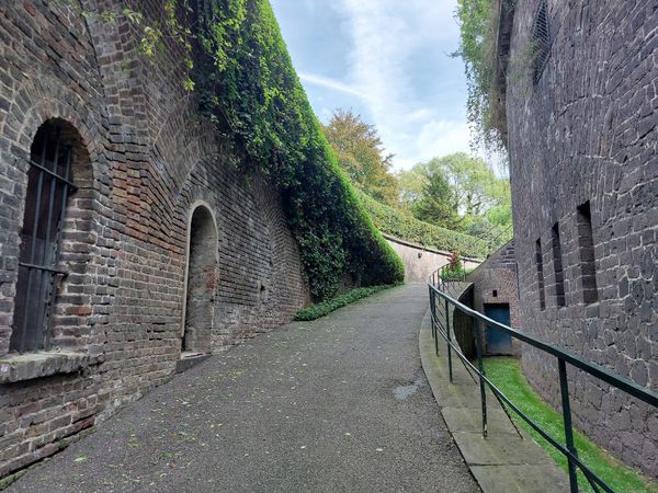 Blühendes Rosenmeer in historischer Festung