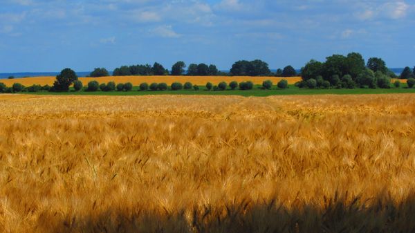 Größter Binnensee Deutschlands lädt ein