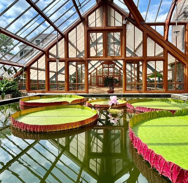 Ruhige Gartenidylle in der Stadt