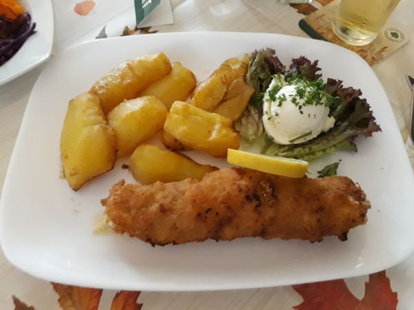 Leidenschaftliche Küche am Rhein
