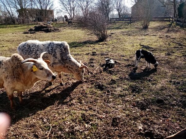 Abenteuer Natur für Neugierige