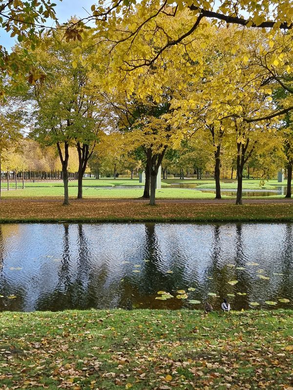 Schwerin auf Rädern erkunden