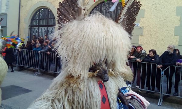 Buntes UNESCO-Karnevalsfest erleben