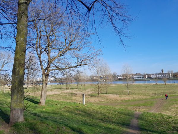 Strand-Feeling in den Kölner Rheinauen erleben