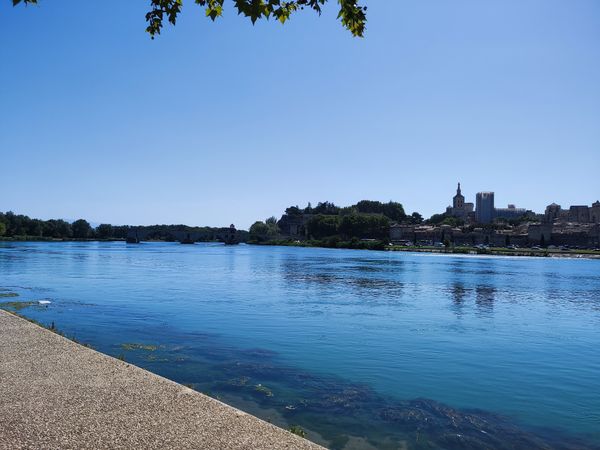 Aussicht auf Avignon genießen