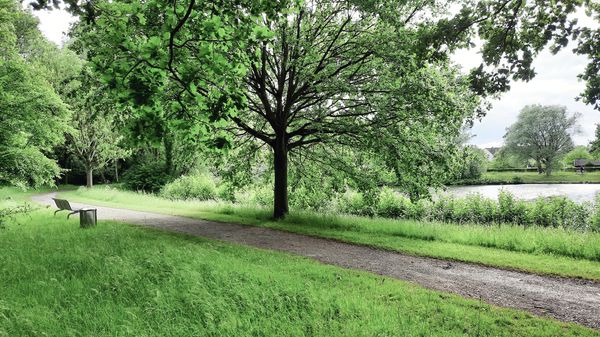 Entspannung und Natur im größten Park der Stadt