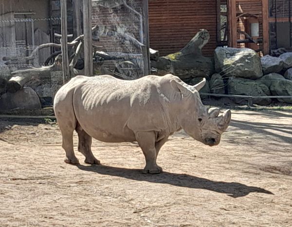 Tierische Abenteuer für die ganze Familie