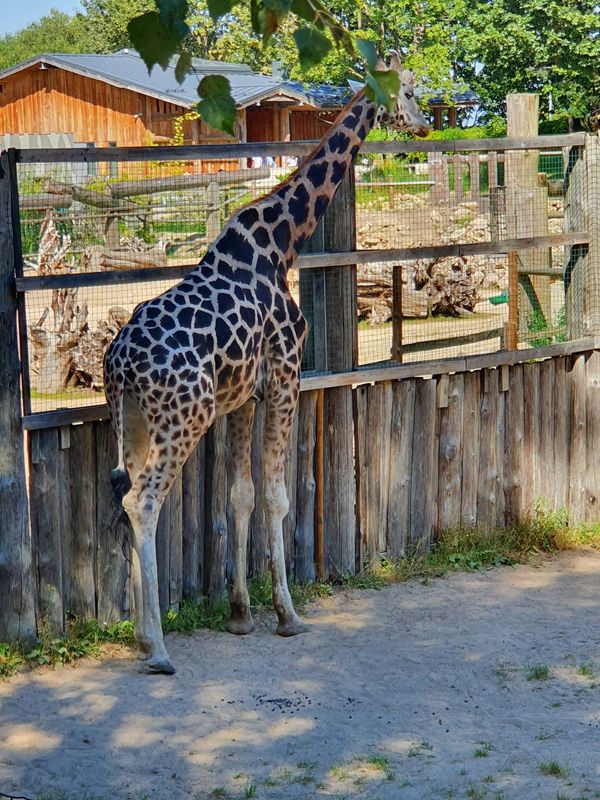 Tierische Begegnungen für die ganze Familie