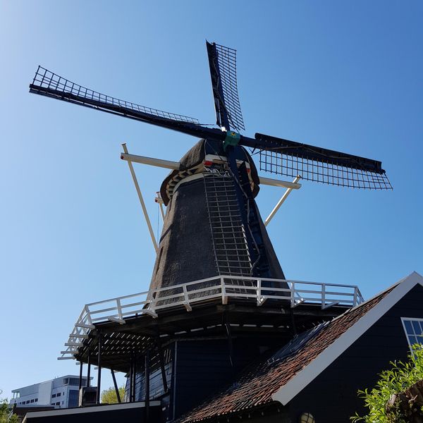 Windmühlencharme in Utrecht