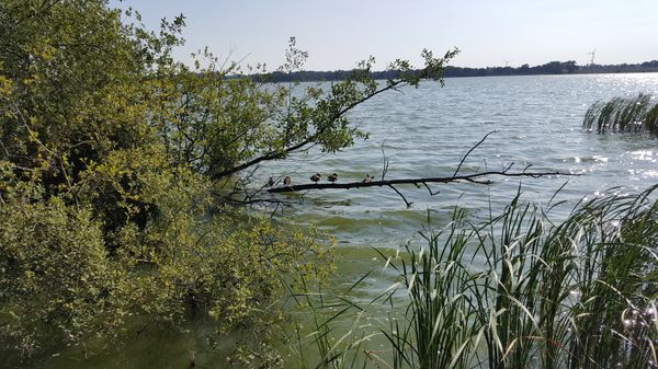 Deutschlands tiefsten Punkt entdecken