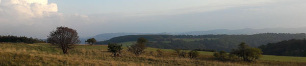 Natur pur auf dem Premiumweg