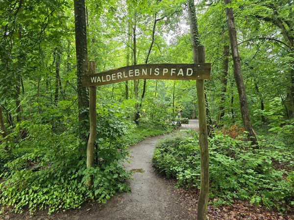 Erlebnis im Wald