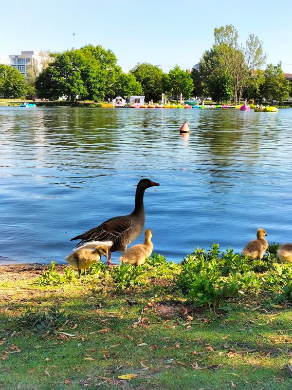 Entspannung und Aktivität am Wasser