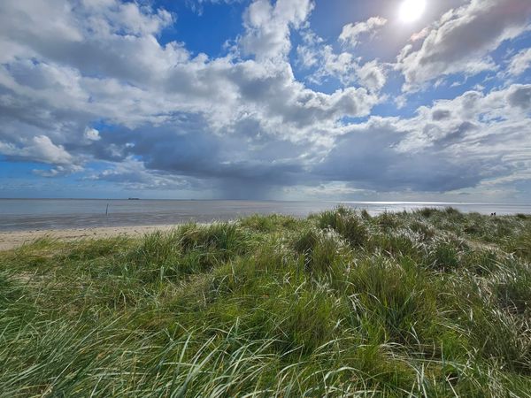 Faszination Weltnaturerbe Wattenmeer