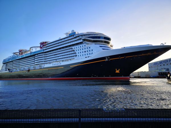 Giganten der Meere entstehen sehen