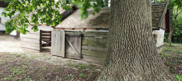 Erlebe das ländliche Ungarn