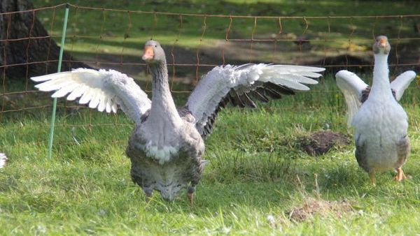 Entdecke die Vielfalt der Natur mit der Familie