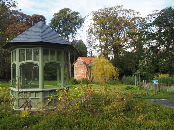 Ruhige Gartenidylle genießen