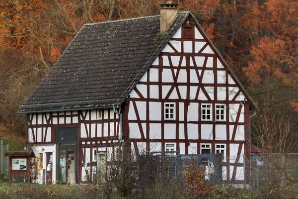 Heimische Tiere hautnah erleben