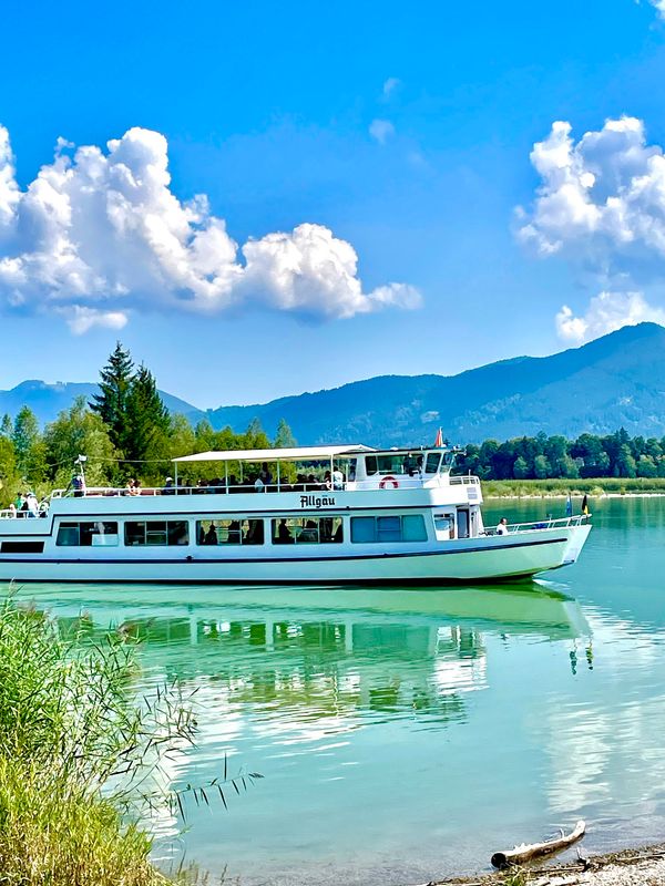 Natur pur am Ufer des Forggensees