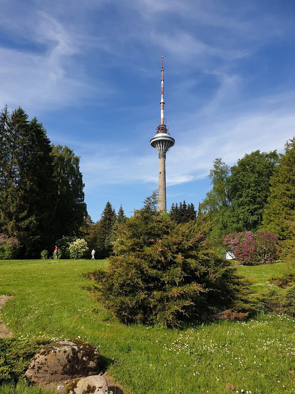 Grüne Oase der Ruhe