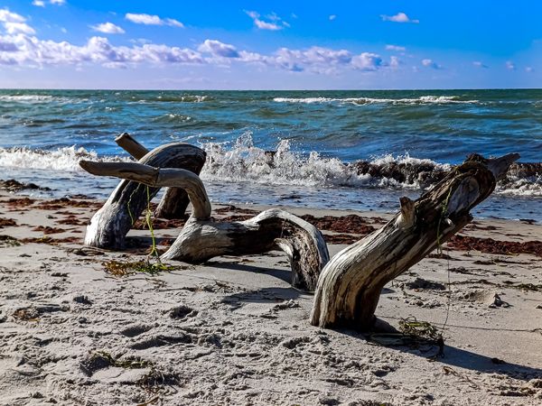 Naturparadies für Fotografen