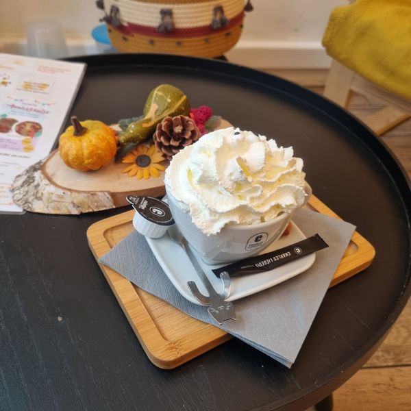 Kaffeezeit mit schnurrenden Freunden