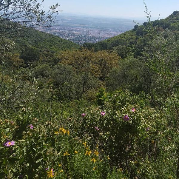 Natur pur in den Bergen