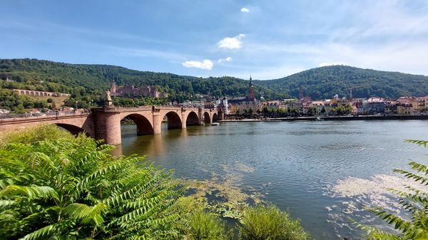 Historische Momente am Neckar