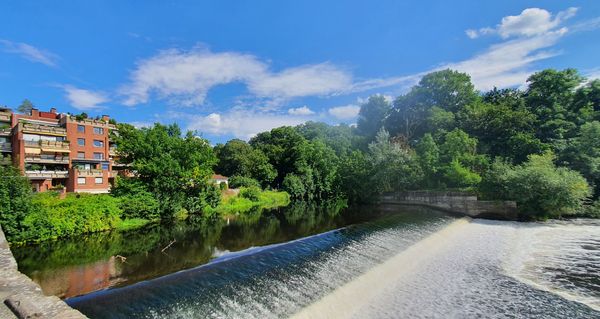 Eisvögel beobachten an der Leine in Döhren