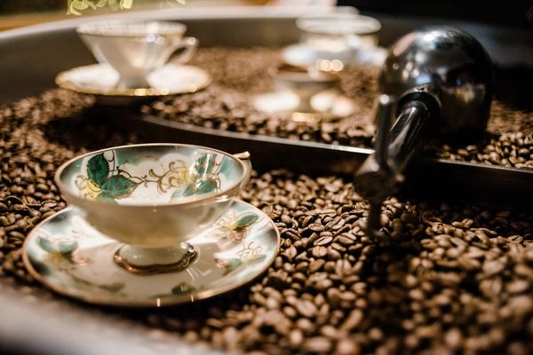 Entdecken Sie Ihren Lieblingskaffee