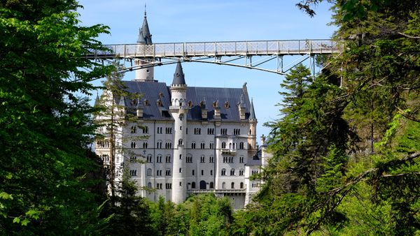 Beste Aussicht auf Schloss Neuschwanstein