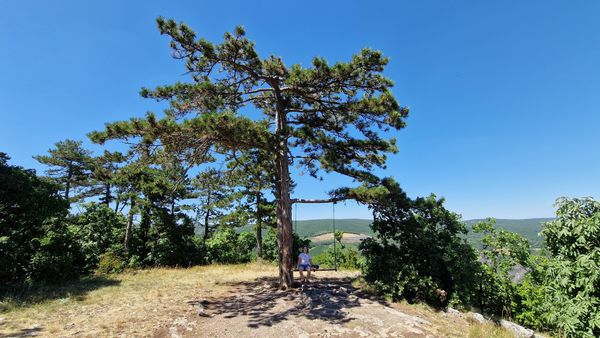 Entspannen auf der Schaukel im Grünen