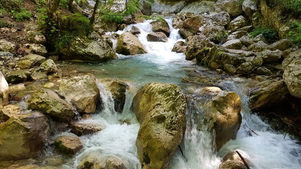 Naturwunder in wilder Schlucht