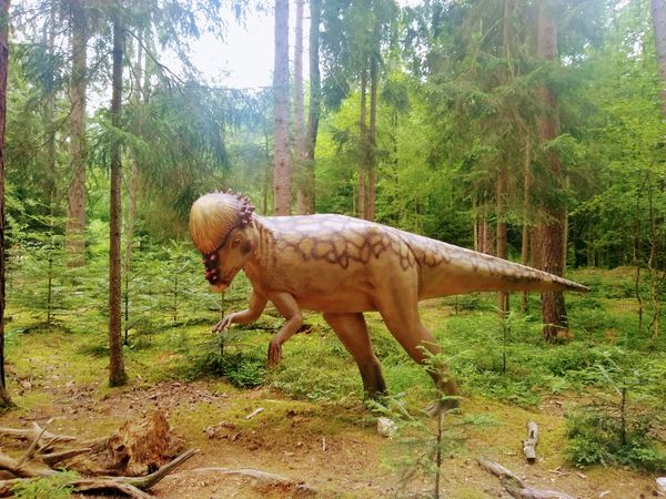 Zeitreise zu den Giganten der Urzeit