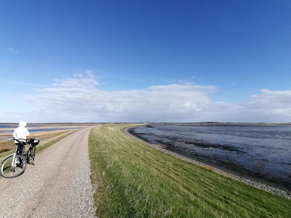 Vogelbeobachtung in einzigartiger Natur