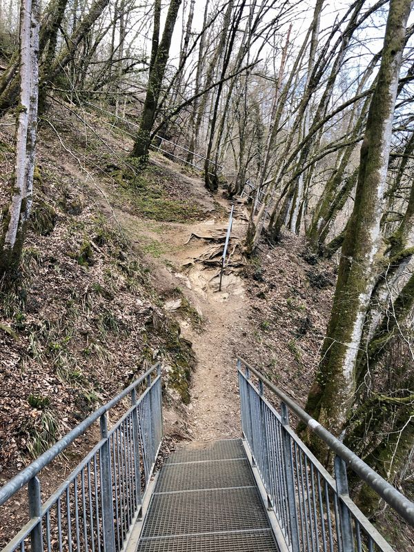 Natur pur auf dem Wanderweg