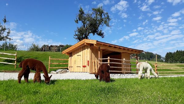 Tierisches Wandererlebnis nahe Berlin
