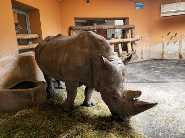 Tierische Begegnungen für Groß & Klein