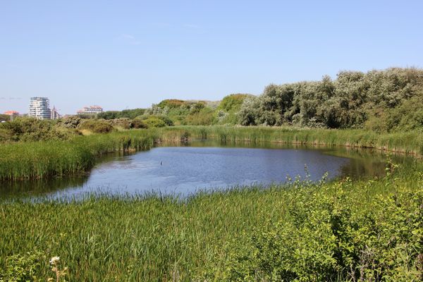 Naturerlebnis an der Küste