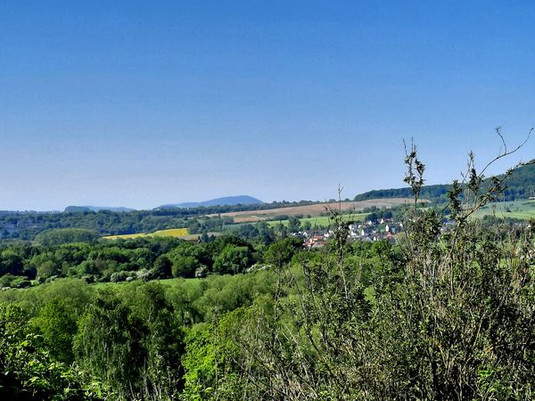 Oase der Ruhe in der Stadt