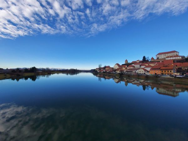 Perfekter Blick auf Ptuj's Dächer