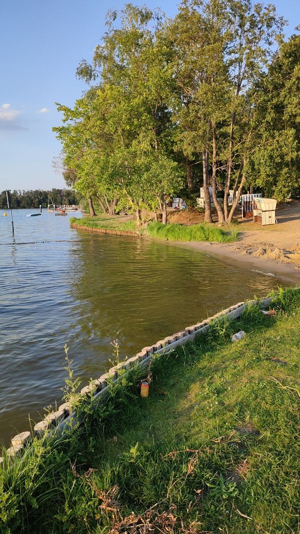 Schwimmen in unberührter Natur