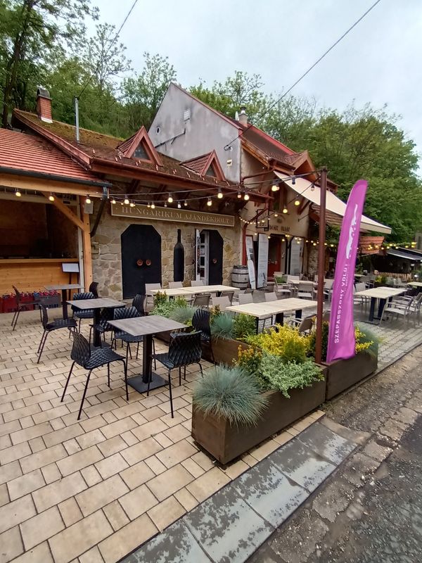 Weinbar-Hopping im Tal der Schönen Frauen