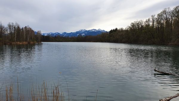 Erfrischung pur im Sommer