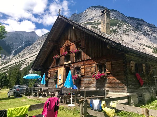 Entdecke die Vielfalt der Alpenkräuter