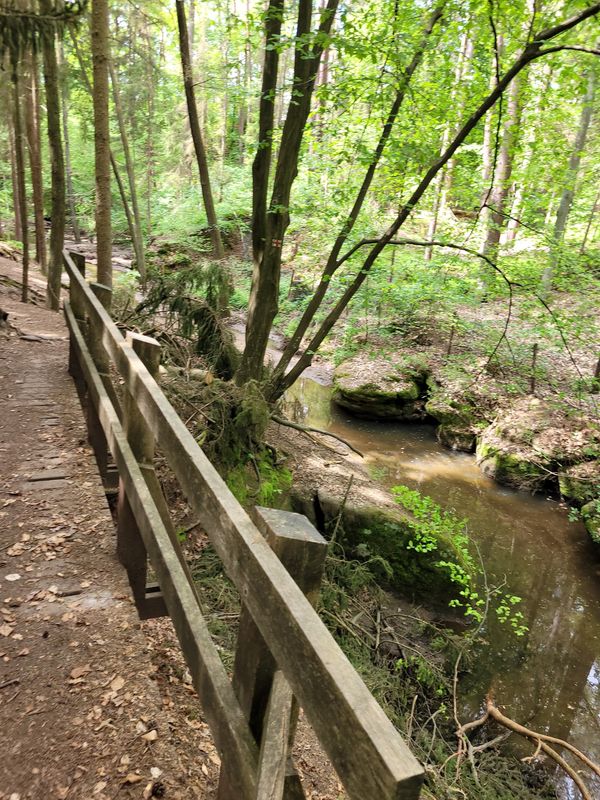 Geheimnisvolle Schlucht entdecken