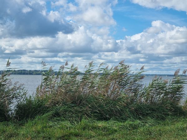 Natur pur am Fjord